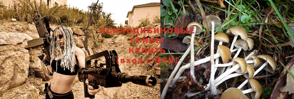 героин Кукмор